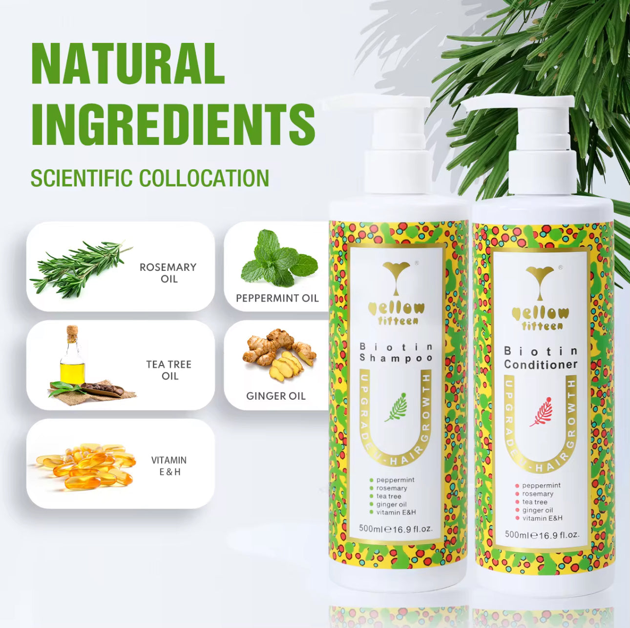 Revitalizing Hair Trio – Scalp Therapy with Rosemary, Mint & Biotin